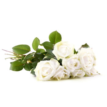 Yehud-Monosson, Israel Online Florist - Splendid White Bukett